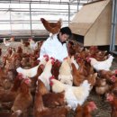 채광농장 이미지