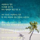 7월 25일 정모 (방학식) - 여의도 이미지