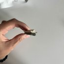 그린덴탈 이미지