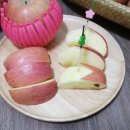 묘현농장 이미지