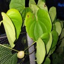 혜리농장 이미지