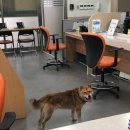 동천동 주민센터 이미지