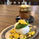 투비어스 이미지