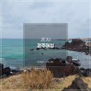 &#39;21 JEJU : 2박 3일 감성 제주 여행 프롤로그,