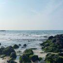 한*수 - 안양시 만안구 창박로 17 | 제주도 스쿠버다이빙 체험 가격 후기 가디언다이브 추천