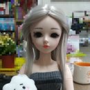 도리스헤어 이미지