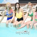 스텔라 이미지
