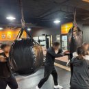 복서(BOXER) 삼성센터 이미지