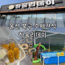 하울리데이 | 울산 북구 강아지 애견호텔 수제간식 하울리데이