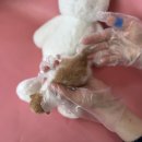 우창동로 이미지