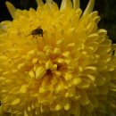 기호식품 이미지