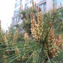 힘찬부동산중개 이미지