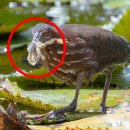 동삼종합사회복지관 이미지