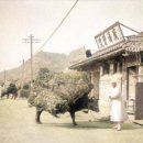 상태농장 이미지