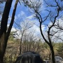 붉은오름자연휴양림3 이미지