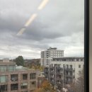 런던동물병원 | [런던개발자] (가져오기) 2주차 후기