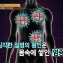 염증 줄이고 혈관 보호에 좋은 음식 이미지