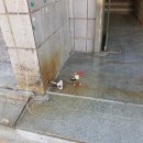 영상월드 노래연습장 이미지