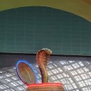 아라비안관광나이트 이미지