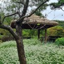 마음의 쉼, 보태니컬 아트 | 황학산수목원의 가을, 여주여행 가볼만한곳 보태니컬아트 전시회