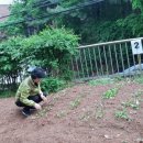 용왕 경로당 이미지