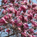 깊은골천 이미지