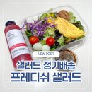 샐러드 배송·정기배송 추천! 프레디쉬 서울·경기 당일배송 후기