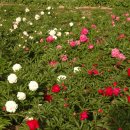 성만농장 이미지