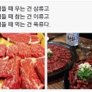 하루의 힐링 이미지