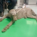 염편한세상 이미지