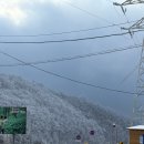 정선우리자동차공업사 | 강원도 가볼만한곳 겨울 영월 여행 필수코스 정선 함백산 만항재 눈꽃 설경 실시간