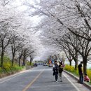 구례 버스킹 공연 이미지