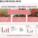 셀비아 네이버블로그