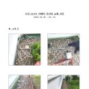 옥상 CCTV 카메라 전선관 교체(2023.06.05~06.13) 이미지