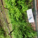 은혜수퍼 이미지