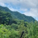 쉼터카페 이미지