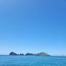 차귀도 | 제주 차귀도 배낚시 후기 내돈내산 (feat. 돌고래, 선상 회 먹기)