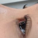 2166 | 시흥속눈썹펌 인디뷰티스튜디오 속눈썹펌 후기