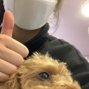 가은6호 이미지