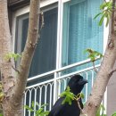 창조부동산중개 이미지