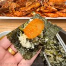 황금코다리 이미지