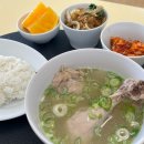 어가삼계탕 어가초밥 | [체코교환학생-여행3] 프라하Praha🇨🇿
