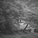 기억을 걷다 3 이미지