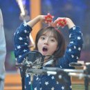 달빛양이 이미지