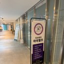 맥스아이엘츠영어교습소 | [디스터디 아이엘츠] 세종오픽, 직장인 업무 역량을 높여주는 열정 가득한 영어교습소 후기