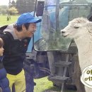 라라패션 이미지
