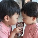 영화카서비스 | 인마이블로그 3주차]패밀리카 후보 벤츠 GLC 시승기...돈까스 맛집 돈까스겸 내돈내산, 영화 &#39;좀비딸&#39; 후기