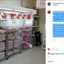 노른자케이스 이미지