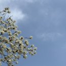 다사랑온누리약국 이미지