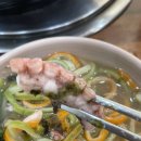 [수원 | 정자동 맛집] 낙지촌 내돈내산 솔직 후기 리뷰
